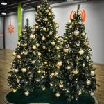 They look beautiful, regardless! | THINGS THAT SOUND DIRTY AT CHRISTMAS BUT AREN'T:; FROM HERE, YOU CAN’T TELL
 IF THEY’RE ARTIFICIAL OR REAL. | image tagged in christmas trees,christmas,decorations,holiday | made w/ Imgflip meme maker