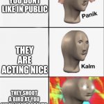 Hi | YOU SEE SOMEONE YOU DONT LIKE IN PUBLIC; THEY ARE ACTING NICE; THEY SHOOT A BIRD AT YOU WHEN YOUR PARENTS TURN THEIR BACK | image tagged in panik kalm angery | made w/ Imgflip meme maker
