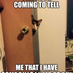 Cat peeking around door | TOM NOOK COMING TO TELL; ME THAT I HAVE SOME BILLS I NEED TO PAY | image tagged in cat peeking around door | made w/ Imgflip meme maker