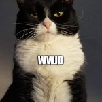 Theological Cat | WWJD | image tagged in theological cat | made w/ Imgflip meme maker