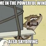cursed rigby | ME IN THE POWERFUL WIND; ALSO SKYDIVING | image tagged in cursed rigby | made w/ Imgflip meme maker
