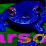 Arson Frog