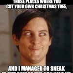 Tree | I WENT TO ONE OF THOSE PLACES WHERE YOU CUT YOUR OWN CHRISTMAS TREE, AND I MANAGED TO SNEAK IT OUT BEFORE THE SUN WAS UP. | image tagged in that look you give your friend | made w/ Imgflip meme maker