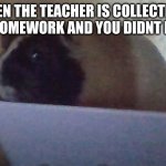 nervous salad pig | WHEN THE TEACHER IS COLLECTING THE HOMEWORK AND YOU DIDNT DO IT | image tagged in nervous salad pig | made w/ Imgflip meme maker