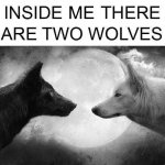 Inside me there are two wolves