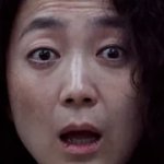 Han Mi-Nyeo