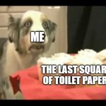 life | ME; THE LAST SQUARE OF TOILET PAPER | image tagged in dog cake suffering | made w/ Imgflip meme maker