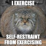 Fat Cats Exercise | I EXERCISE SELF-RESTRAINT FROM EXERCISING | image tagged in cats,fat,funny,animals | made w/ Imgflip meme maker