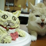 Ugly Cat Cake
