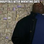 Man sleeping on money | HOSPITALS AFTER INVENTING CATS | image tagged in man sleeping on money | made w/ Imgflip meme maker