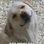 Upvote doggo?????/////?/? | YOU'VE BEEN SCROLLING FOR A WHILE HOOMAN; BUT WHAT CAN I DO ABOUT IT | image tagged in i don't believe you doggo | made w/ Imgflip meme maker