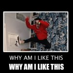 Why am I like this | WHY AM I LIKE THIS | image tagged in why am i like this | made w/ Imgflip meme maker
