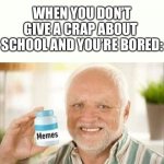 memes | WHEN YOU DON’T GIVE A CRAP ABOUT  SCHOOL AND YOU’RE BORED: | image tagged in memes,funny,hide the pain harold,oh wow are you actually reading these tags | made w/ Imgflip meme maker
