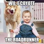 Dingositter | WIL-E COYOTE; THE ROADRUNNER | image tagged in dingositter | made w/ Imgflip meme maker