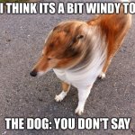 It's not that windy... | ME: I THINK ITS A BIT WINDY TODAY; THE DOG: YOU DON'T SAY | image tagged in windy dog | made w/ Imgflip meme maker