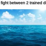 Wonder which one will win | Epic fight between 2 trained divers | image tagged in ocean | made w/ Imgflip meme maker