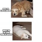 Bored doggo and happy doggo | WHEN I DO IT WITH SOMEONE; WHEN I DO THE SAME THING BY MYSELF | image tagged in bored doggo and happy doggo | made w/ Imgflip meme maker