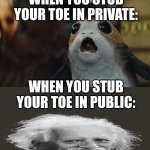 Pain | WHEN YOU STUB YOUR TOE IN PRIVATE:; WHEN YOU STUB YOUR TOE IN PUBLIC: | image tagged in star wars porg,einstein laugh | made w/ Imgflip meme maker