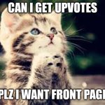 plz cat | CAN I GET UPVOTES; PLZ I WANT FRONT PAGE | image tagged in plz cat | made w/ Imgflip meme maker