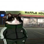 Cat waffle house
