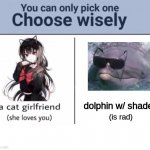 Choose wisely | dolphin w/ shades (is rad) | image tagged in choose wisely | made w/ Imgflip meme maker