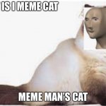 Meme cats grand entrance | IT IS I MEME CAT; MEME MAN’S CAT | image tagged in meme cat,meme man | made w/ Imgflip meme maker