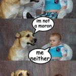 Wbu? | did you know 1/3 people in trios are morons? im not a moron me neither | image tagged in memes,dad joke dog | made w/ Imgflip meme maker