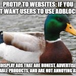 Best title in the history of the universe | PROTIP TO WEBSITES: IF YOU DON'T WANT USERS TO USE ADBLOCKERS DISPLAY ADS THAT ARE HONEST, ADVERTISE REPUTABLE PRODUCTS, AND ARE NOT ANNOYIN | image tagged in memes,actual advice mallard | made w/ Imgflip meme maker