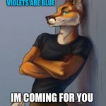 YOOOO | ROSES ARE RED; VIOLETS ARE BLUE; IM COMING FOR YOU | image tagged in cutesypancake cool fox | made w/ Imgflip meme maker