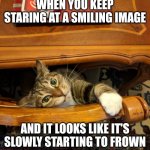 Cat in a Trance | WHEN YOU KEEP STARING AT A SMILING IMAGE; AND IT LOOKS LIKE IT'S SLOWLY STARTING TO FROWN | image tagged in cat in a trance | made w/ Imgflip meme maker
