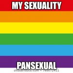 Lgbtqp | MY SEXUALITY PANSEXUAL | image tagged in lgbtqp | made w/ Imgflip meme maker