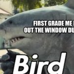 Bird Watcher | FIRST GRADE ME LOOKING OUT THE WINDOW DURING CLASS | image tagged in king shark bird | made w/ Imgflip meme maker