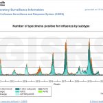 Influenza statistics 2012 to 2021