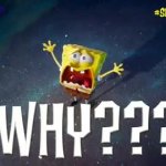 SpongeBob why why meme
