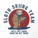 Sloth skiing team meme