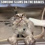 Angry Wet Cat | WHEN YOU’RE DRINKING WATER IN A CAR AND SOMEONE SLAMS ON THE BRAKES | image tagged in angry wet cat | made w/ Imgflip meme maker