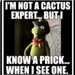 I’m not a cactus expert but I know a prick when I see one