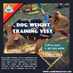 Dog Weight Training Vest