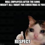 the true heroes | MALL EMPLOYEES AFTER THE SONG WASN'T ALL I WANT FOR CHRISTMAS IS YOU; RESPECT | image tagged in thumbs up crying cat | made w/ Imgflip meme maker