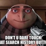 Mom don’t touch it | DON’T U DARE TOUCH THAT SEARCH HISTORY BUTTON | image tagged in gru gun | made w/ Imgflip meme maker