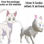 I couldn't think of a title | How it looks when it arrives; How the package looks on the website | image tagged in super artemis 64,package,sailor moon | made w/ Imgflip meme maker