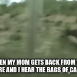 Coming home from store | WHEN MY MOM GETS BACK FROM THE STORE AND I HEAR THE BAGS OF CANDY | image tagged in gifs,mom,food,funny | made w/ Imgflip video-to-gif maker