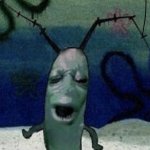 cursed plankton