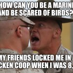 Marines di | HOW CAN YOU BE A MARINE AND BE SCARED OF BIRDS? MY FRIENDS LOCKED ME IN A CHICKEN COOP WHEN I WAS 8, SIR. | image tagged in marines di | made w/ Imgflip meme maker