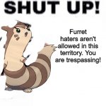 Anti- Furret haters