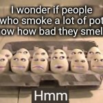 Yeah, you're not fooling anyone. You smell bad. | I wonder if people who smoke a lot of pot know how bad they smell... | image tagged in thinking eggs,pot,you smell bad,memes,funny memes,brain damage | made w/ Imgflip meme maker