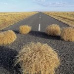 Tumbleweeds