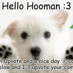 :3 Have a nice day :3 | Hello Hooman :3; Have an Upvote and a nice day :>, comment down below and I'll upvote your comment :) | image tagged in cute dog | made w/ Imgflip meme maker