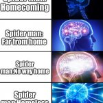 Spider man meme | Spider man: Homecoming; Spider man: Far from home; Spider man:No way home; Spider man:Homeless | image tagged in expanding brain 4 panels,spiderman,spider man no way home,expanding brain | made w/ Imgflip meme maker