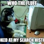dog on computer | WHO THE FLUFF; LOOKED AT MY SEARCH HISTORY | image tagged in dog on computer | made w/ Imgflip meme maker